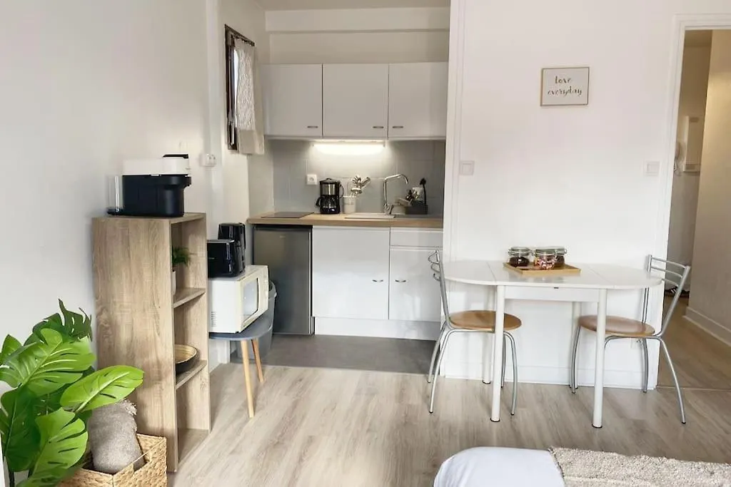 Le Syrme • 450M De La Plage, Balcon & Parking Annecy 0*,